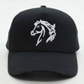 Black Horse 🐎